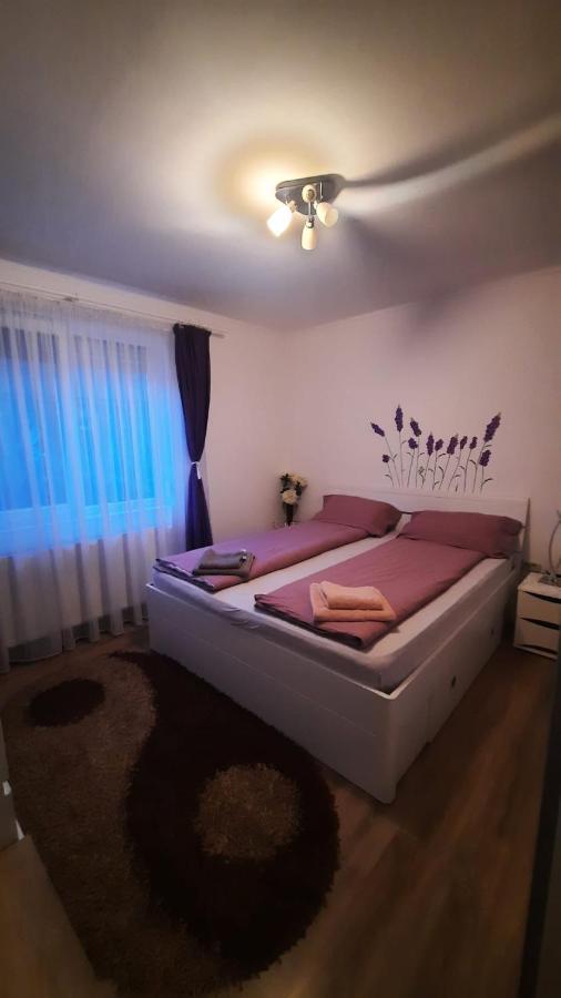 “Home Sweet Home” Sîntandrei Exterior photo